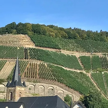 Penzion Winzer Lounge Gastezimmer Dernau