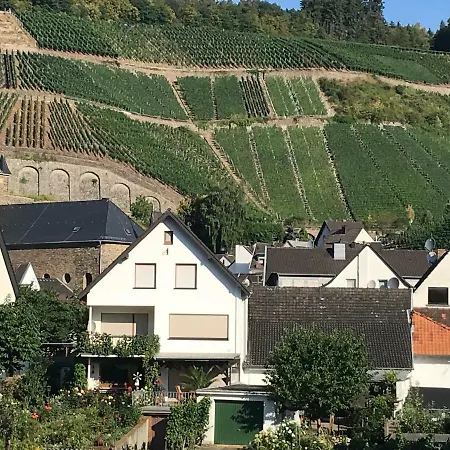 Winzer Lounge Gastezimmer Pensionat