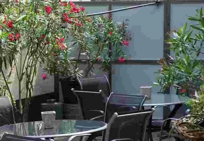 Winzer Lounge Gastezimmer בית הארחה דרנאו