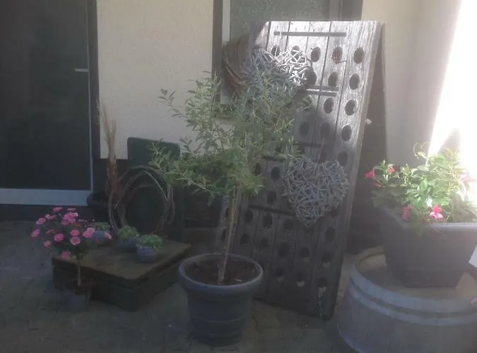 Winzer Lounge Gastezimmer