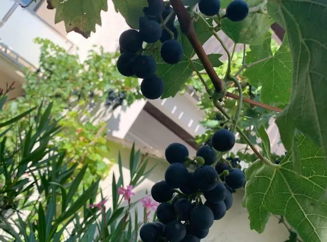 Winzer Lounge Gastezimmer Dernau