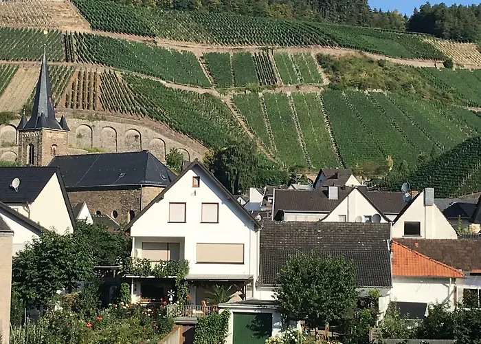 Winzer Lounge Gastezimmer בית הארחה